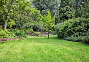 Optimiser l'expérience du jardin à Belcodene